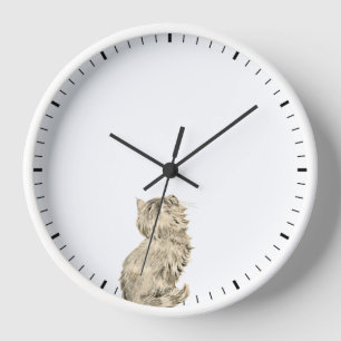 Cute Cat Looking at Clock Hands - Sweet Pet Humour