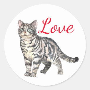 Cute Cat Love Tiger Kitten Kitty Thinking of You Classic Round Sticker
