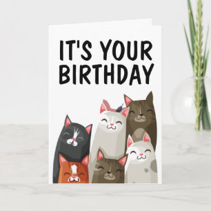 CUTE CAT LOVER BIRTHDAY CARD "PURRFECT"