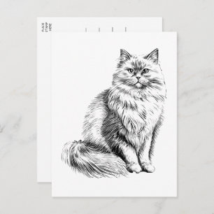 Cute Cat Lover Illustration  Hello, Miss You, Love Postcard