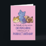 Cute Cat Lover Purrfect Birthday Funny Card<br><div class="desc">On behalf of the entire cat population,  wishing you a purrfect birthday. Funny,  humourous and sometimes sarcastic birthday cards for your family and friends. Get this fun card for your special someone. Visit our store for more cool birthday cards.</div>