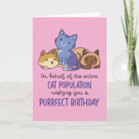 Cute Cat Lover Purrfect Birthday Funny
