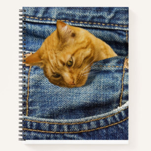 Cute Cat Lovers Keepsake gift Notebook
