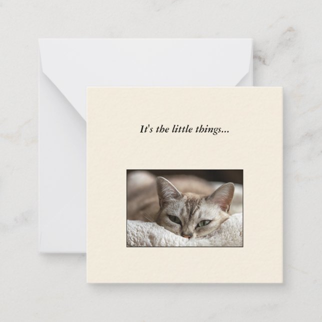Cute Cat Mini Thank You Note Card (Front)