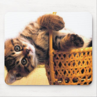 Cute cat mouse pad