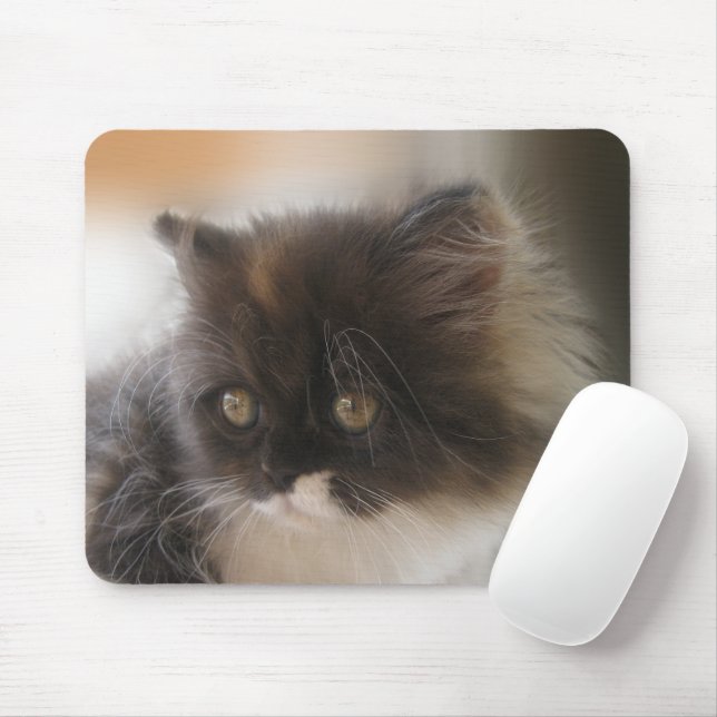 Cute Cat Mouse Pad (With Mouse)