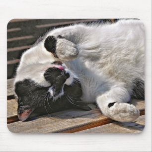 CUTE CAT MOUSE PAD