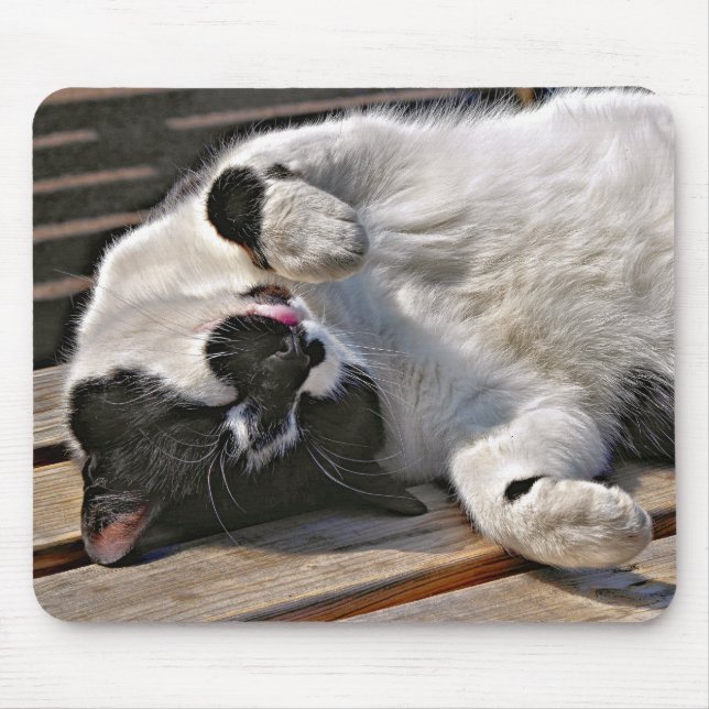 CUTE CAT MOUSE PAD (Front)