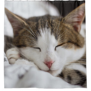 Cute Cat Nap Shower Curtain