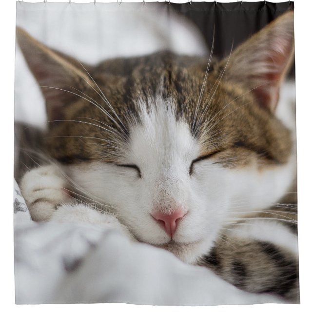 Cute Cat Nap  Shower Curtain (Front)
