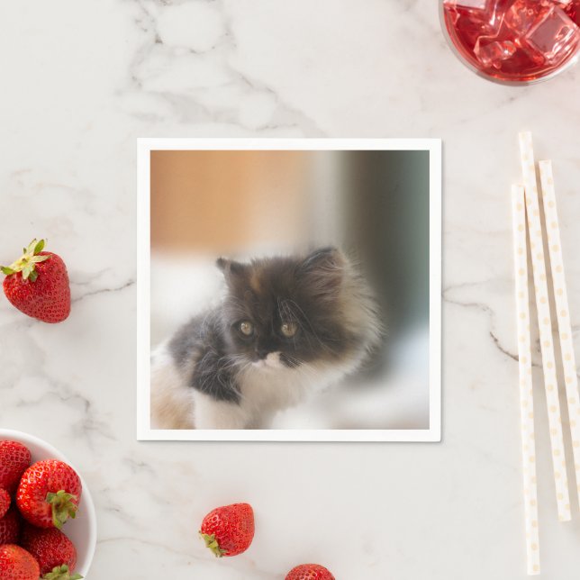 Cute Cat Napkin (Insitu)