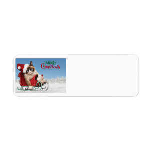 Cute cat on a sleigh return address label