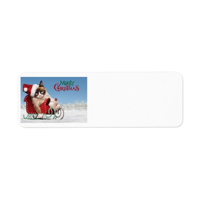 Cute cat on a sleigh return address label (Front)