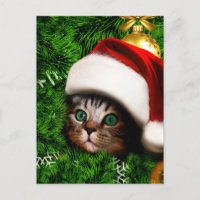 Cute Cat on Christmas tree