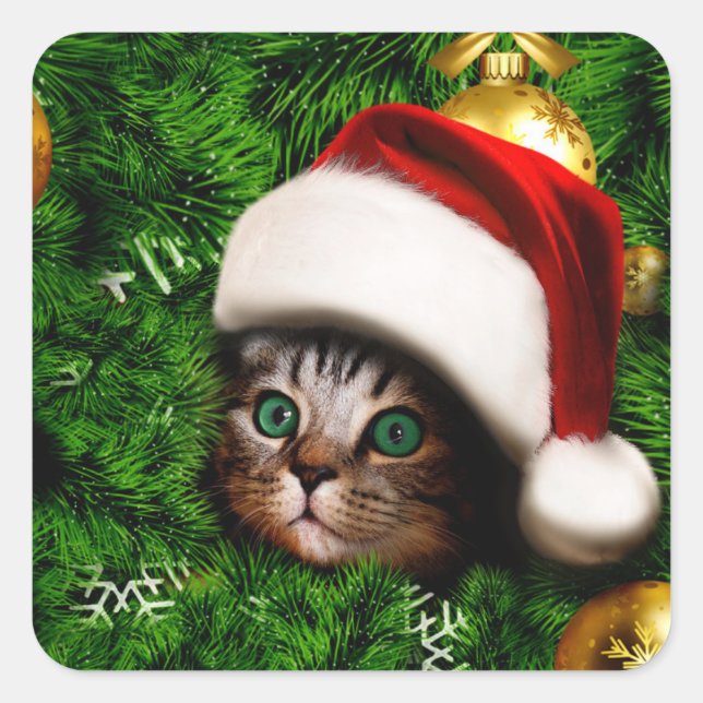 Cute Cat on Christmas tree Square Sticker (Front)