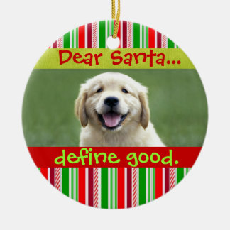 Cute Cat or Dog Pet Christmas Photo Ornament