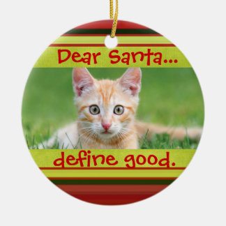 Cute Cat or Dog Pet Christmas Photo Ornament