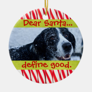 Cute Cat or Dog Pet Christmas Photo Ornament