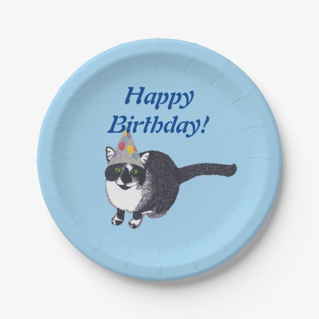 Cute Cat Party Hat Happy Birthday Plates (Front)