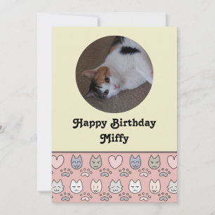 Cute Cat Pattern Birthday Card