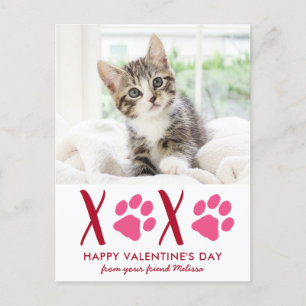 Cute Cat Pet Photo Valentines Day Holiday Card