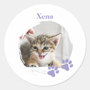 Cute Cat pet with customized name Classic Round Sticker