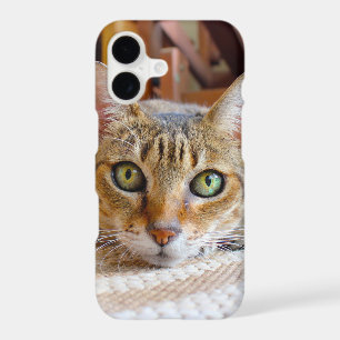 Cute Cat phone cases