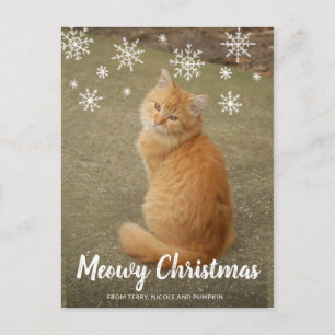Cute Cat Photo Fun Modern Christmas Holiday Postcard