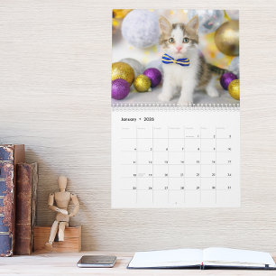 Cute Cat Photo It’s A Cat’s Life 2026 Calendar