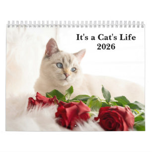 Cute Cat Photo It’s A Cat’s Life 2027 Calendar