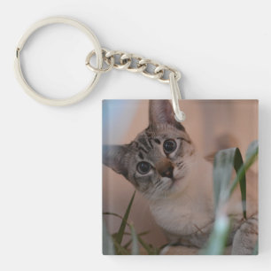 Cute Cat Photo Portrait Key Ring