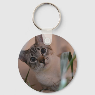 Cute Cat Photo Portrait Key Ring