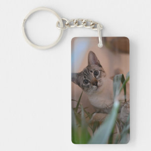 Cute Cat Photo Portrait Key Ring