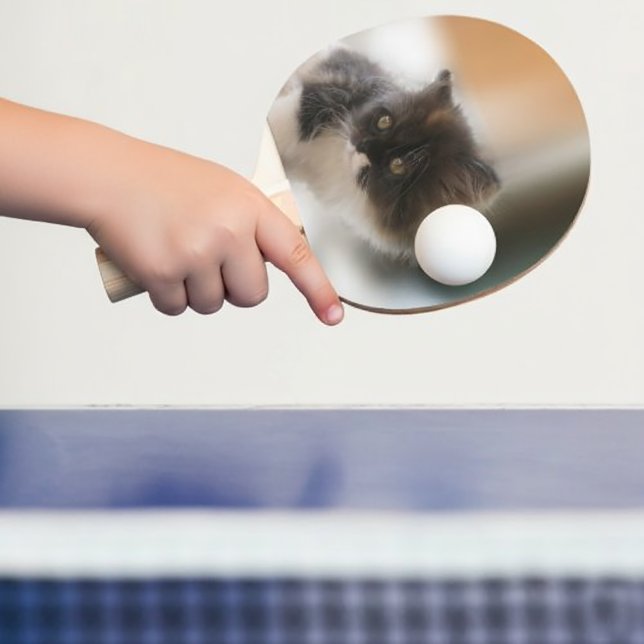 Cute Cat Ping Pong Paddle (Fluffy Calico Kitten Photo Cute Ping Pong Paddle
)