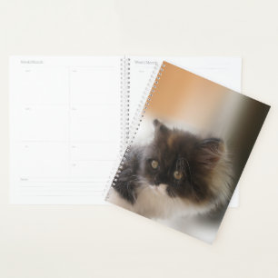 Cute Cat Planner