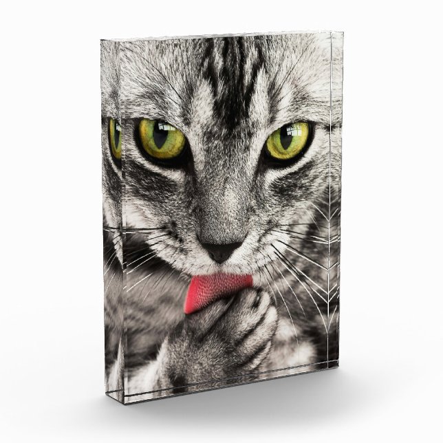 Cute Cat Portrait Photo Block (Left)