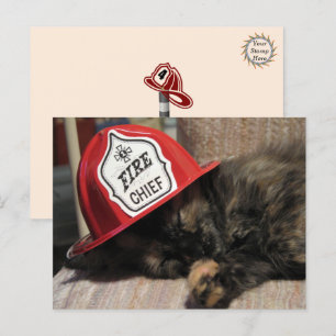 Cute Cat Postcard - Fire Chief 