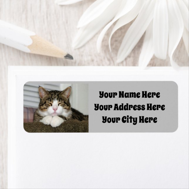 Cute Cat Return Address Label (Insitu)
