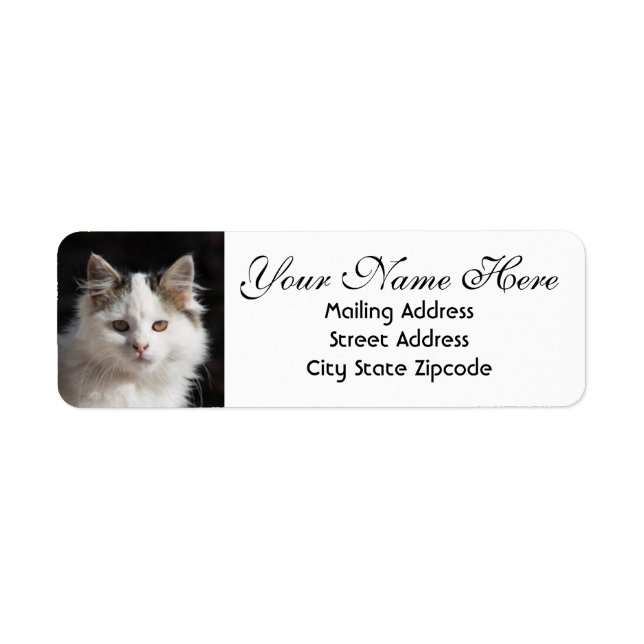 Cute Cat Return Address Label (Front)