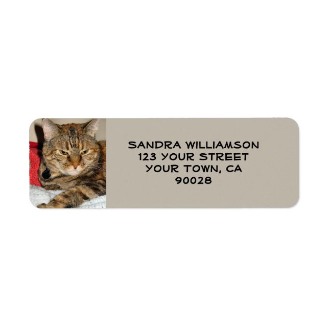 Cute cat return address label (Front)