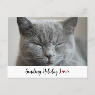 Cute Cat Sending Holiday Love  Postcard
