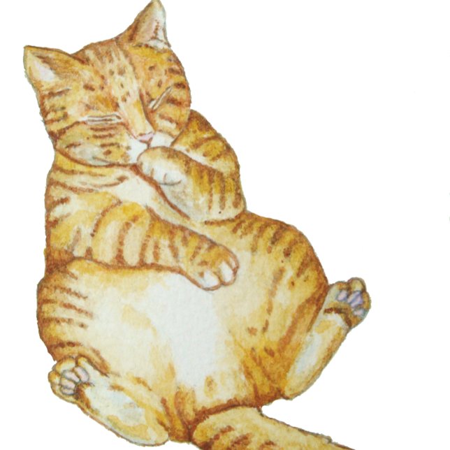 cute cat sleeping ginger kitten art design key ring (Creator Uploaded)