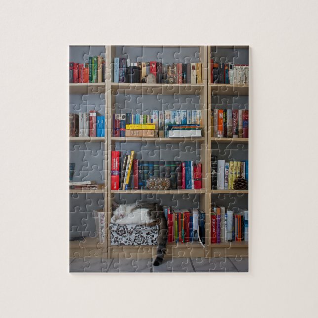 Cute cat sleeping on bookshelf library books jigsaw puzzle (Vertical)