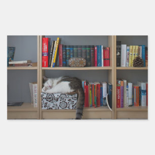 Cute cat sleeping on bookshelf library books rectangular sticker