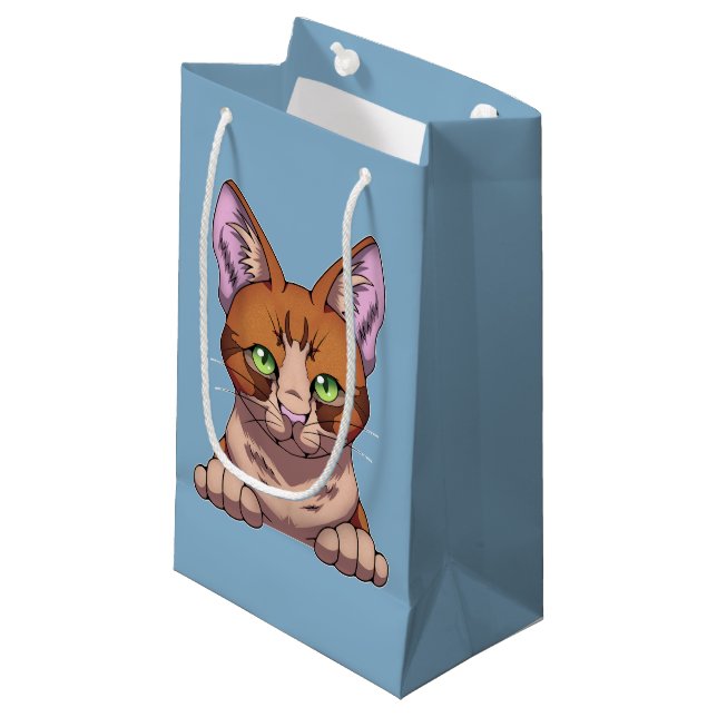Cute Cat Small Gift Bag (Front Angled)