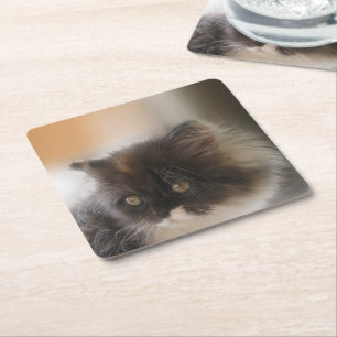 Cute Cat Square Paper Coaster