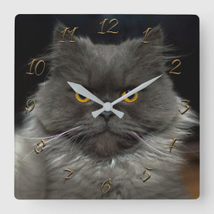 Cute cat square wall clock