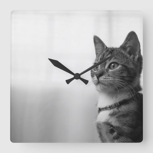 Cute Cat Square Wall Clock (Front)