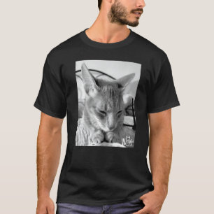 Cute Cat stuff for Cat girls women men kids boys T-Shirt