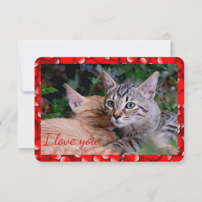 Cute Cat Valentine Card (Front)